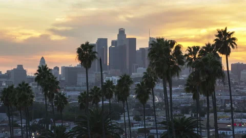 Timelapse of Palm Trees and Sunset over City Skyline Vidéo 197088993