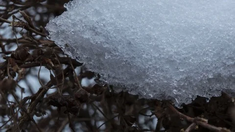 Timelapse with pan of melting snow. Stock Footage 76150202
