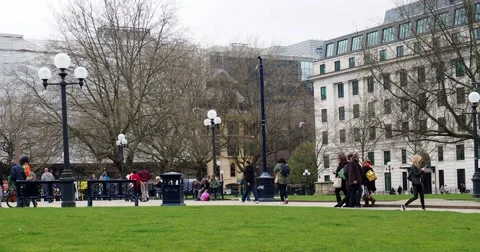 Timelapse Park Birmingham Stock Footage 45595883