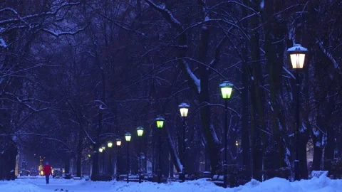 Timelapse in park by night Stock Footage 148291819