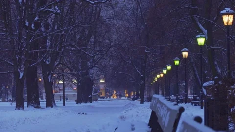 Timelapse in park by night Stock-Footage 148291831