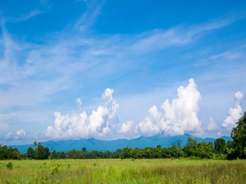 Timelapse Of Passing Cloud With Blue Sky Over Rice Field Stock Footage 76109466
