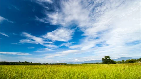 Timelapse of passing clouds at morning over rice field Stock Footage 54769472