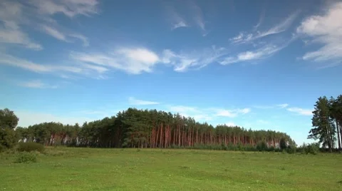 Timelapse pasture and forest. Stock Footage 8605973