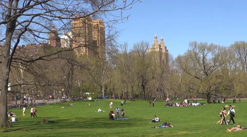 Timelapse people enjoy Central Park in New York City recreation activity relax Stock Footage 65478564