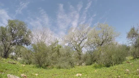 Timelapse people hike in meadow in the beginning of Spring 스톡 동영상 47372989