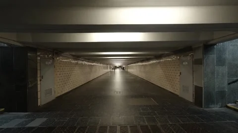 Timelapse people in the underpass at night Vídeos de archivo 148117141
