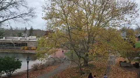 Timelapse of People Walking Through Park in Autumn Stock Footage 222666673