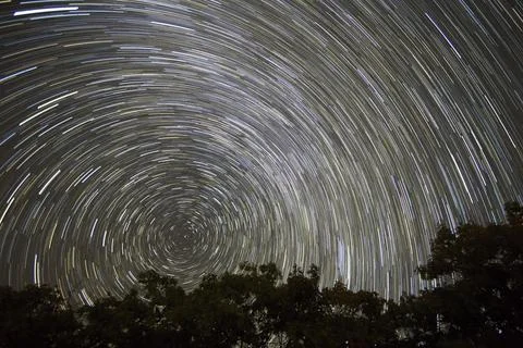 Timelapse Photo of Trees Under A Starry Sky Stock Photos