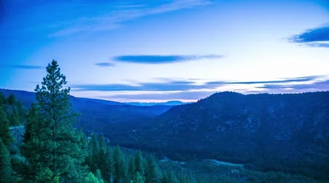 Timelapse of pine forest, sunset to night Stock Footage 49012860