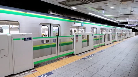 Timelapse Platform door on the platform of Tokyo Metro Chiyoda Line Stock Footage 189491573