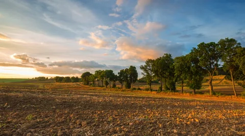 Timelapse of plowed field and trees alley at sunset Stock Footage 54274016