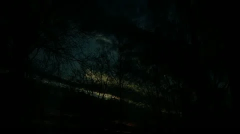 Timelapse pond sunrise Stock-Footage 11560909