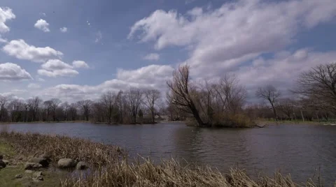 Timelapse of Pond, Trees, Clouds, and Wildlife - pan from right to left Video stock 4823319