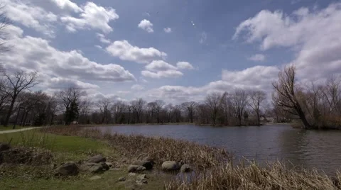 Timelapse of Pond, Trees, Clouds, and Wildlife - pan from left to right Video stock 4826957