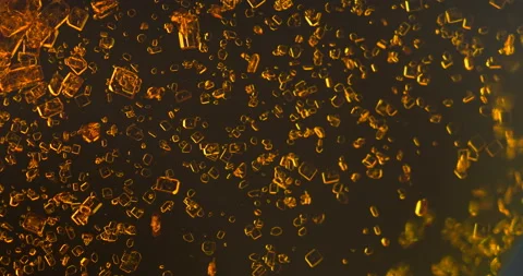 Timelapse of Potassium dichromate crystallization under polarized light Stock Footage 116465316