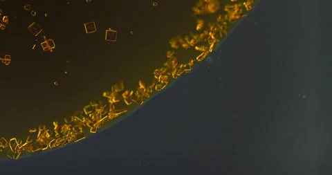Timelapse of Potassium dichromate crystallization under polarized light Stock Footage 116465511