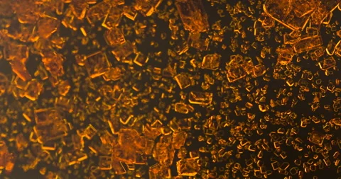 Timelapse of Potassium dichromate crystallization under polarized light Stock Footage 116465581