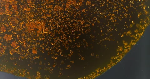 Timelapse of Potassium dichromate crystallization under polarized light Stock Footage 116465806