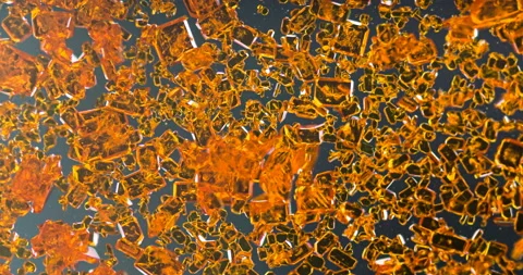 Timelapse of Potassium dichromate crystallization under polarized light Stock Footage 116466472