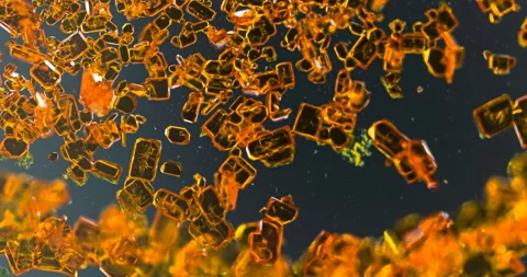 Timelapse of Potassium dichromate crystallization under polarized light Stock Footage 116466962