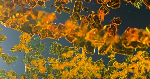 Timelapse of Potassium dichromate crystallization under polarized light Stock Footage 116467130