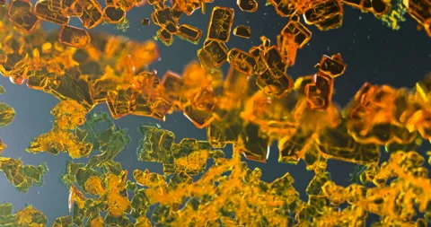 Timelapse of Potassium dichromate crystallization under polarized light Stock Footage 116467342
