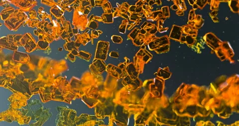 Timelapse of Potassium dichromate crystallization under polarized light Stock Footage 116467512