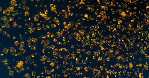 Timelapse of Potassium dichromate crystallization under polarized light Stock Footage 116468740