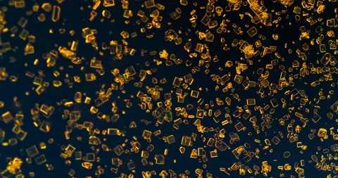 Timelapse of Potassium dichromate crystallization under polarized light Stock Footage 116468866