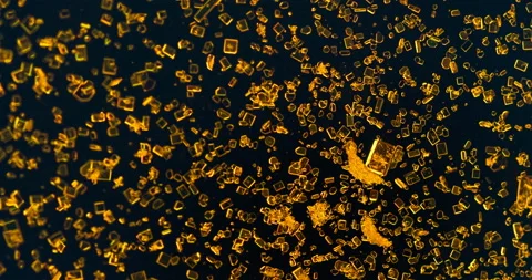 Timelapse of Potassium dichromate crystallization under polarized light Stock Footage 116468935