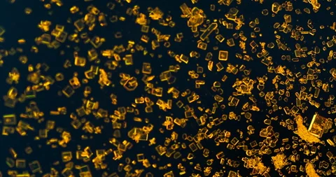 Timelapse of Potassium dichromate crystallization under polarized light Stock Footage 116468941