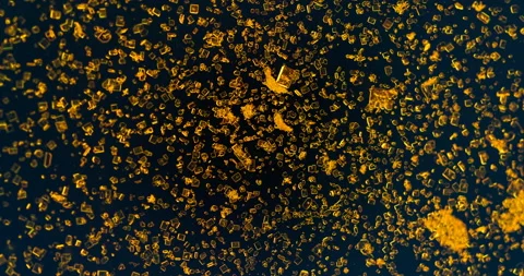 Timelapse of Potassium dichromate crystallization under polarized light Stock Footage 116469161