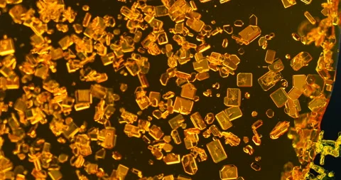 Timelapse of Potassium dichromate crystallization under polarized light Stock Footage 116469271