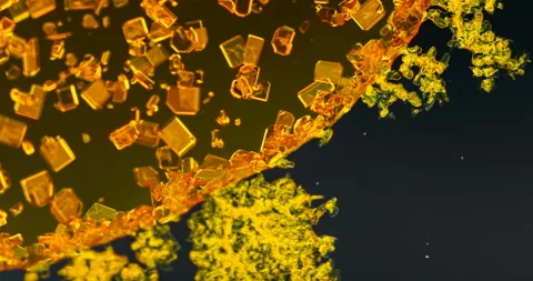 Timelapse of Potassium dichromate crystallization under polarized light Stock Footage 116469369