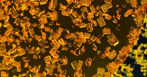 Timelapse of Potassium dichromate crystallization under polarized light Stock Footage 116469430