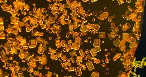 Timelapse of Potassium dichromate crystallization under polarized light Stock Footage 116469542