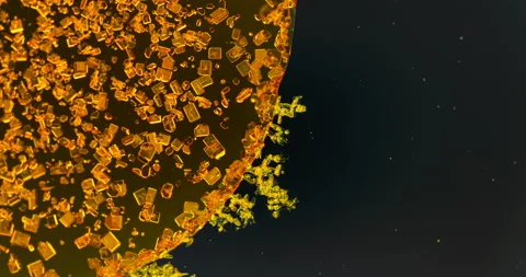 Timelapse of Potassium dichromate crystallization under polarized light Stock Footage 116469640