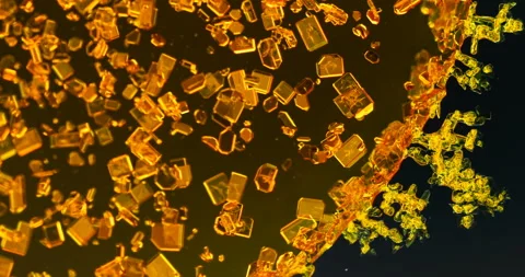 Timelapse of Potassium dichromate crystallization under polarized light Stock Footage 116469641