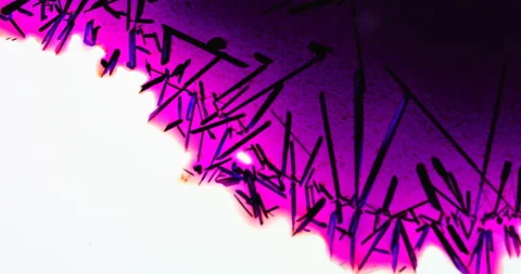 Timelapse of Potassium permanganate crystallization under polarized light Stock Footage 116870949