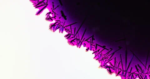 Timelapse of Potassium permanganate crystallization under polarized light Stock-Footage 116871190