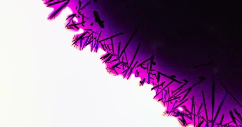 Timelapse of Potassium permanganate crystallization under polarized light Stock Footage 116871325