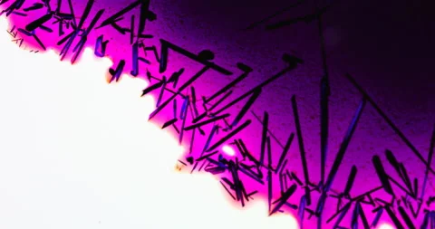Timelapse of Potassium permanganate crystallization under polarized light Stock Footage 116871664