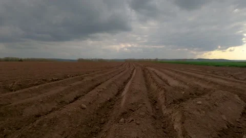 Timelapse of potato field during cloudy day Stock Footage 153356535
