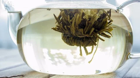 Timelapse Process of brewing Flower Chinese tea in a glass teapot Stock Footage 73953523