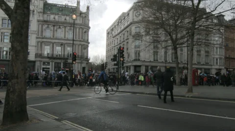 Timelapse of protestors in London Stock Footage 36622349