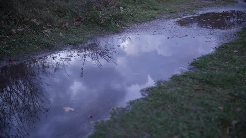 Timelapse of a puddle of water with the reflection of clouds. Video stock 86813430