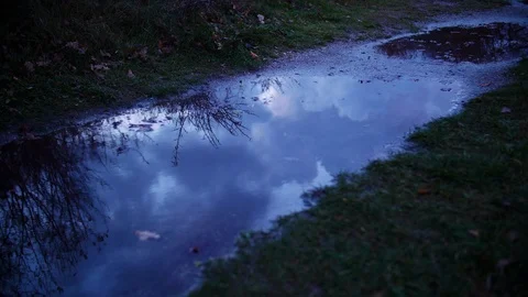 Timelapse of a puddle of water with the reflection of clouds. Video stock 86826250