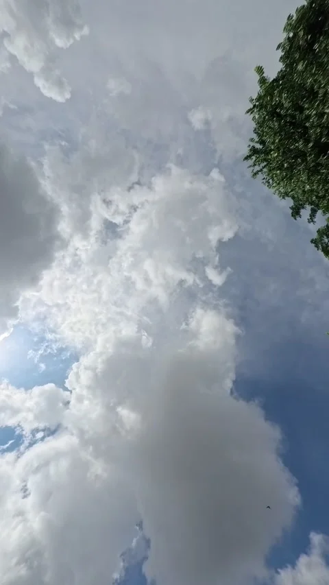 Timelapse quickly floating clouds over the field and plain at day Stock Footage 305811469