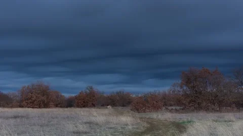Timelapse rain clouds autumn forest. Stock Footage 180073025